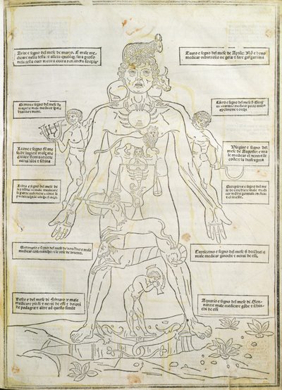 'Fassiculus Medicinae' Venedik'ten bir çizim by Italian School