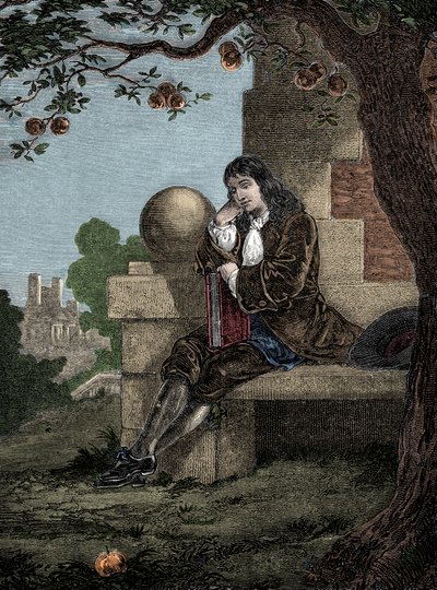 Isaac Newton, bir ağacın altında otururken bir elmanın yere düştüğünü gözlemler. by Italian School