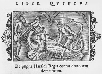 Kral Harald bir ejderhayla savaşıyor, Olaus Magnus'un (1490-1558) Kuzey Ulusları Tarihinden bir örnek, Roma'da yayınlandı, 1555 by Italian School