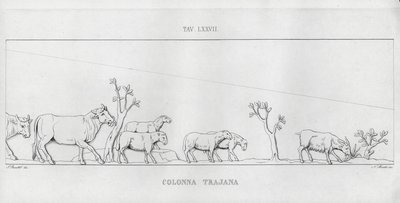 La Colonna Trajana, Trajan Sütunu (gravür) by Italian School