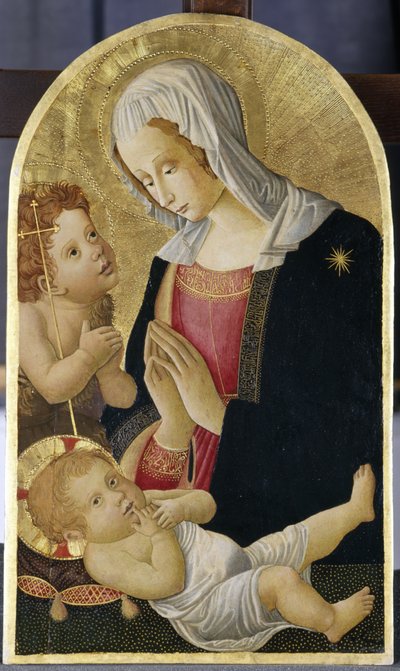 Vaftizci Yahya ile Madonna ve Çocuk, c.1460 (kavak ağacı üzerinde tempera) by Italian School