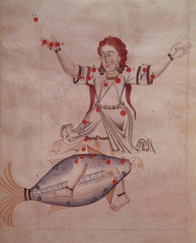Ms.1036 Balık Takımyıldızı, 