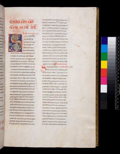 Bayan 143. Büyük Gregory, Registrum Epistolarum, f.8r. Beyaz asma yaprağı dolgulu ve süslemeli dekore edilmiş ilk [S] by Italian School