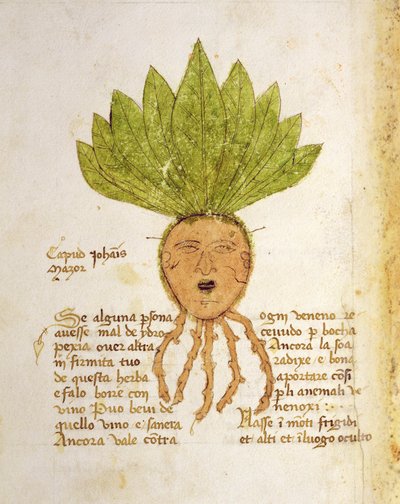 Bayan 1591 Fol.18v. John Mazor