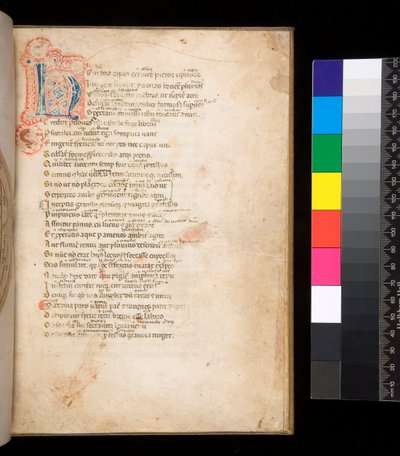 Ms 315. Horace, Ars Poetica ve Epistulae, f.1r. Mavi ve kırmızı bebek bezi dolgulu ve çevreleyen kırmızı renkli kalem işi ile dekore edilmiş başlangıç [N] by Italian School