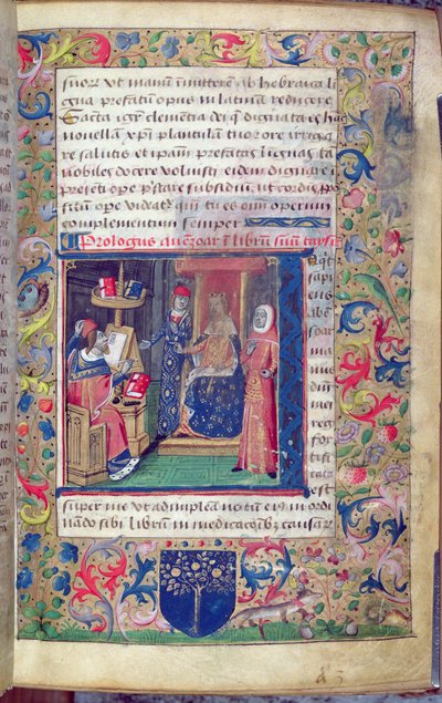 Ms 5113 Capualı John (fl.1262) tarafından, İbn Zuhr