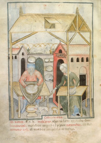 Nouv Acq Lat 1673 fol.58v Tacuinum Sanitatis
