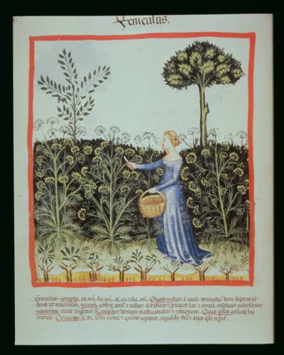 Nova 2644 f.41v Kimyon Hasat by Italian School