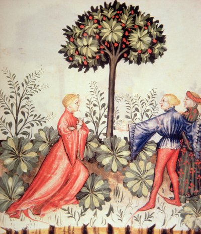 Nova 2644 fol.24r Hasat Hardal, Tacuinum Sanitatis