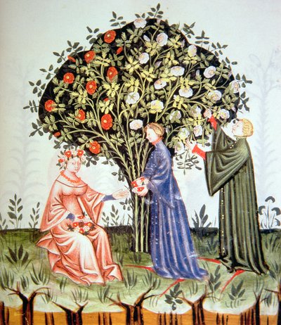 Nova 2644 fol.38r Gül Toplama, Tacuinum Santiatis Codex Vindobonensis