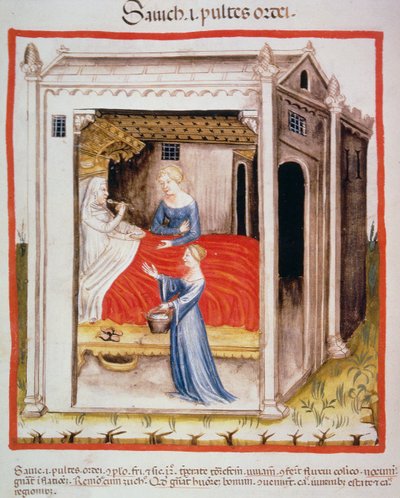 Nova 2644 fol.44v Tacuinum Sanitatis