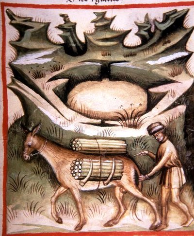 Nova 2644 fol.90r Kar ve Buz, 