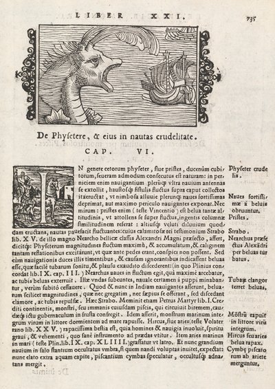 Sayfa 735, Magnus Olaus