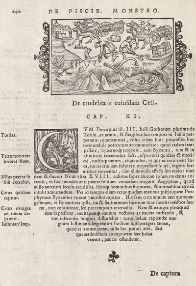 Sayfa 740, Magnus Olaus