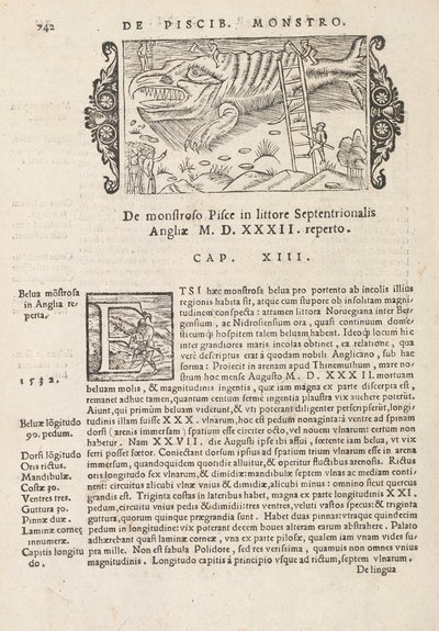 Sayfa 742 Magnus Olaus tarafından yazılan Kuzey Gentivus Tarihinden, Roma 1565 (baskı ve gravür) by Italian School