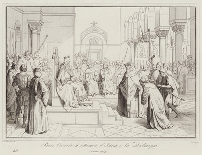 Pietro Orseolo II, Istria ve Dalmatia