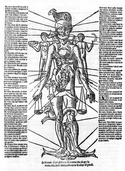Tüm organların konumu ve astrolojik etkileriyle bunlara karşılık gelen zodyak işaretleri ile bir insan vücudunu temsil eden levha. Plage "" Recetoro di Galeno optio e probato a tutte le infirmita che accadeno a huomini e a donne di d