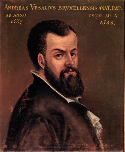 Andre Vesale