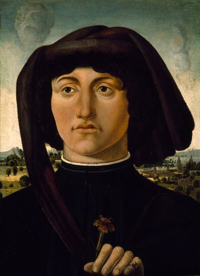 Pembe Çiçekli Genç Bir Adamın Portresi, c.1475-85 (ahşap üzerine tempera) by Italian School