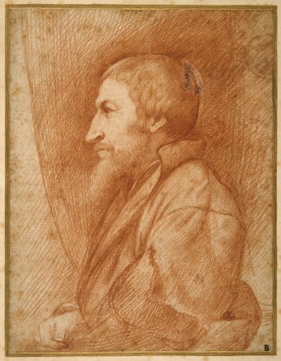 Sakallı bir adamın profil portresi (kendi portresi?) (kağıt üzerinde kırmızı tebeşir) by Italian School