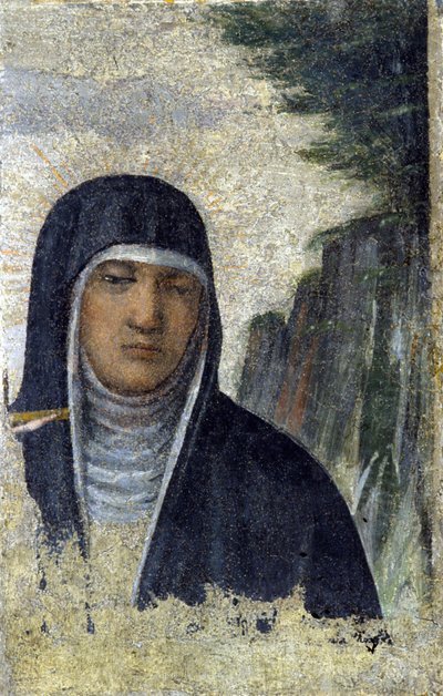 Aziz Claire. Clares Tarikatı