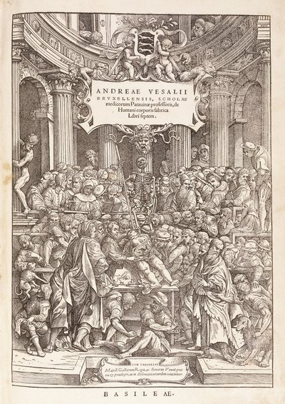 Bir Cerrahi Tiyatroda Anatomik Diseksiyon Yapan Yazar, 1543 by Italian School