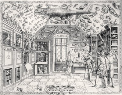 Ferrante Imperato (1550-1631) pub tarafından Historia Naturale'den İmparator Ferdinand III Doğa Tarihi Müzesi. 1672'de by Italian School