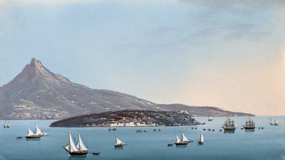 Napoli manzarası (guaj) by Italian School