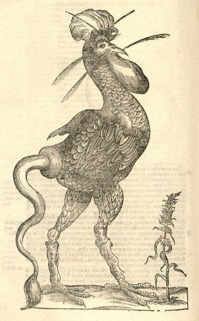 Aldrovandis Canavarlar Tarihi