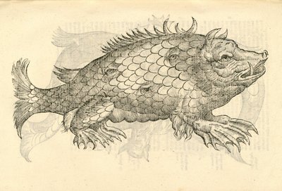 Aldrovandis Canavarlar Tarihinden Monstrosus Sur marinus