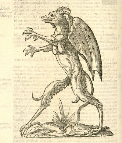 Aldrovandis Canavarlar Tarihi, 1642