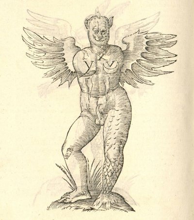 Aldrovandis Canavarlar Tarihinden kanatlı bir canavarın çizimi, 1642 by Italian School