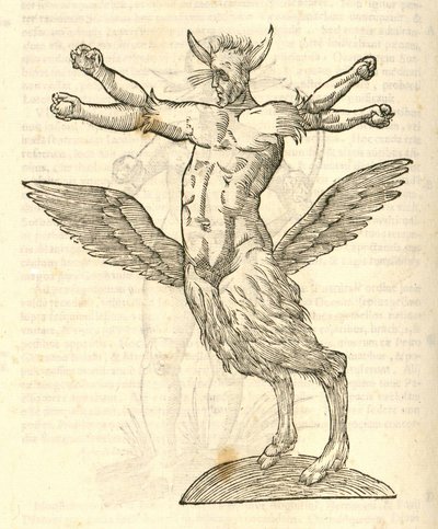 Aldrovandis Canavarlar Tarihinden Canavar resmi, 1642 by Italian School