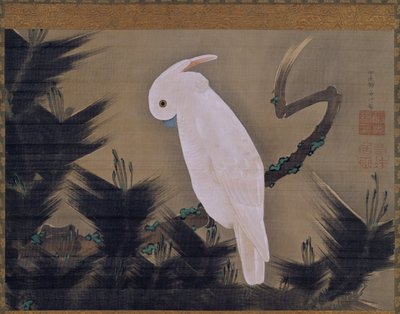 Çam dalı üzerinde beyaz kakadu by Ito Jakuchu