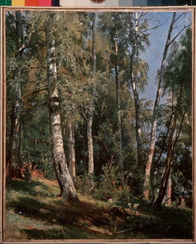 Huş korusu (Huş korusu) - Ivan Ivanovich Shishkin (Shishkin) (1832-1898) tarafından tablo, tuval üzerine yağlıboya by Ivan Ivanovich Shishkin