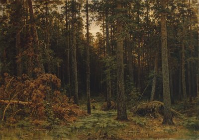 çam ağacı, 1885 by Ivan Ivanovich Shishkin