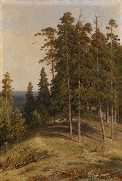 Çam Ormanı, 1895 by Ivan Ivanovich Shishkin