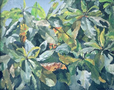 Bitkiler, 1961 by Izabella Godlewska de Aranda