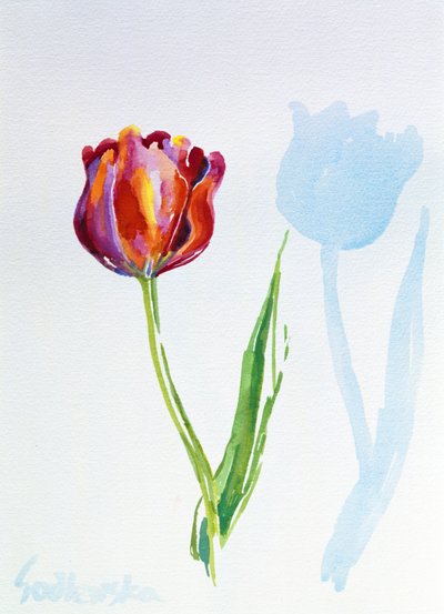 Tulip, 1998 (kağıt üzerinde wc) (ayrıca bkz. 124446 ve 124447) by Izabella Godlewska de Aranda