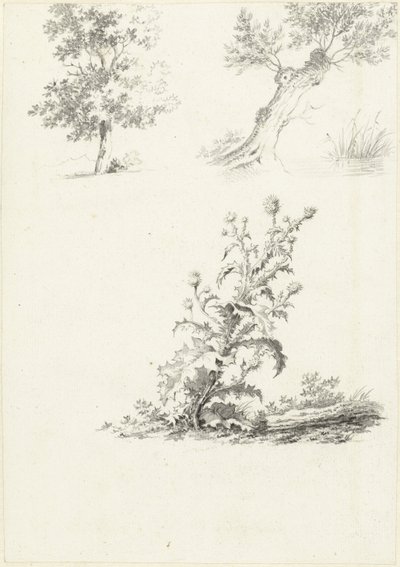 Bir ağaç ve bir devedikeni üzerinde iki çalışma by J.B. Joss (attributed to)