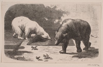 Bjørne ve Botanik Bahçesi by J.C. Nielsen
