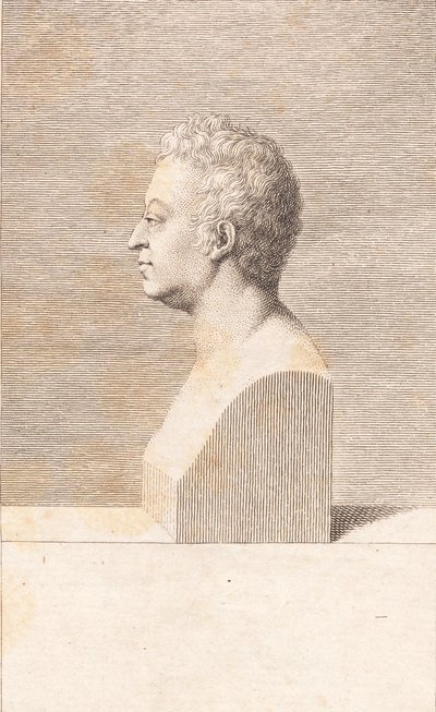 Bir erkek büstü by J.F. Clemens