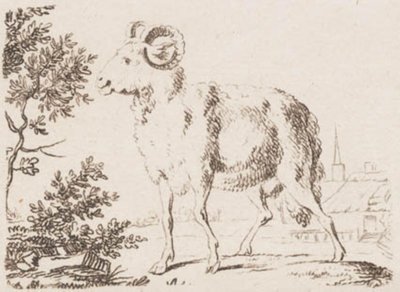 bir koç by J.F. Clemens