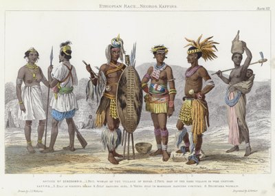 Etiyopya ırkı, zenciler, kafirler (renkli gravür) by J.L. (after) Williams