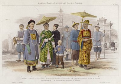 Moğol Irk, Çince ve Cochin-Chinese (renkli gravür) by J.L. (after) Williams