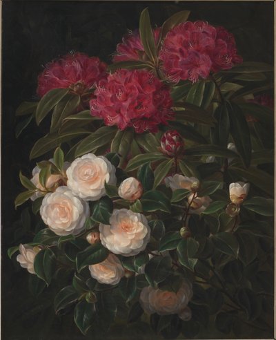 Kamelyalar ve orman gülleri by J.L. Jensen