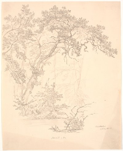 ağaçlar by J.P. Møller