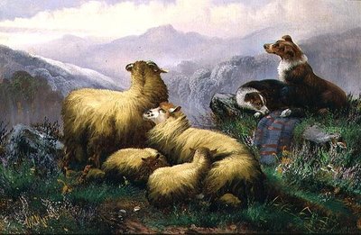 İskoç Dağlık Bölgesinde Çoban Köpekleri ve Koyunlar by J.W. Morris