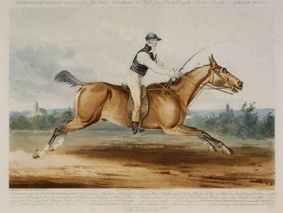 Bay William Hutchinson