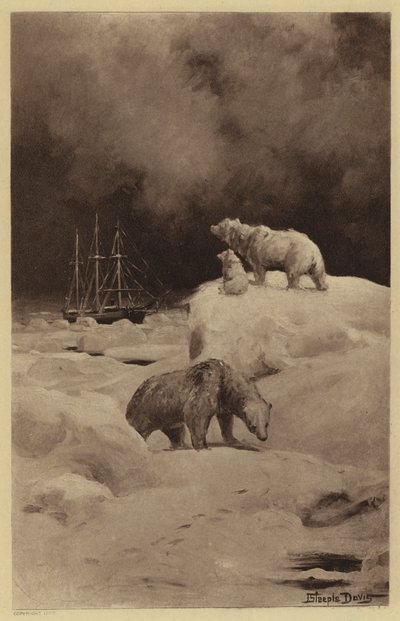 Arktik Bölgelerde Armut (lito) by J. (after) Steeple Davis